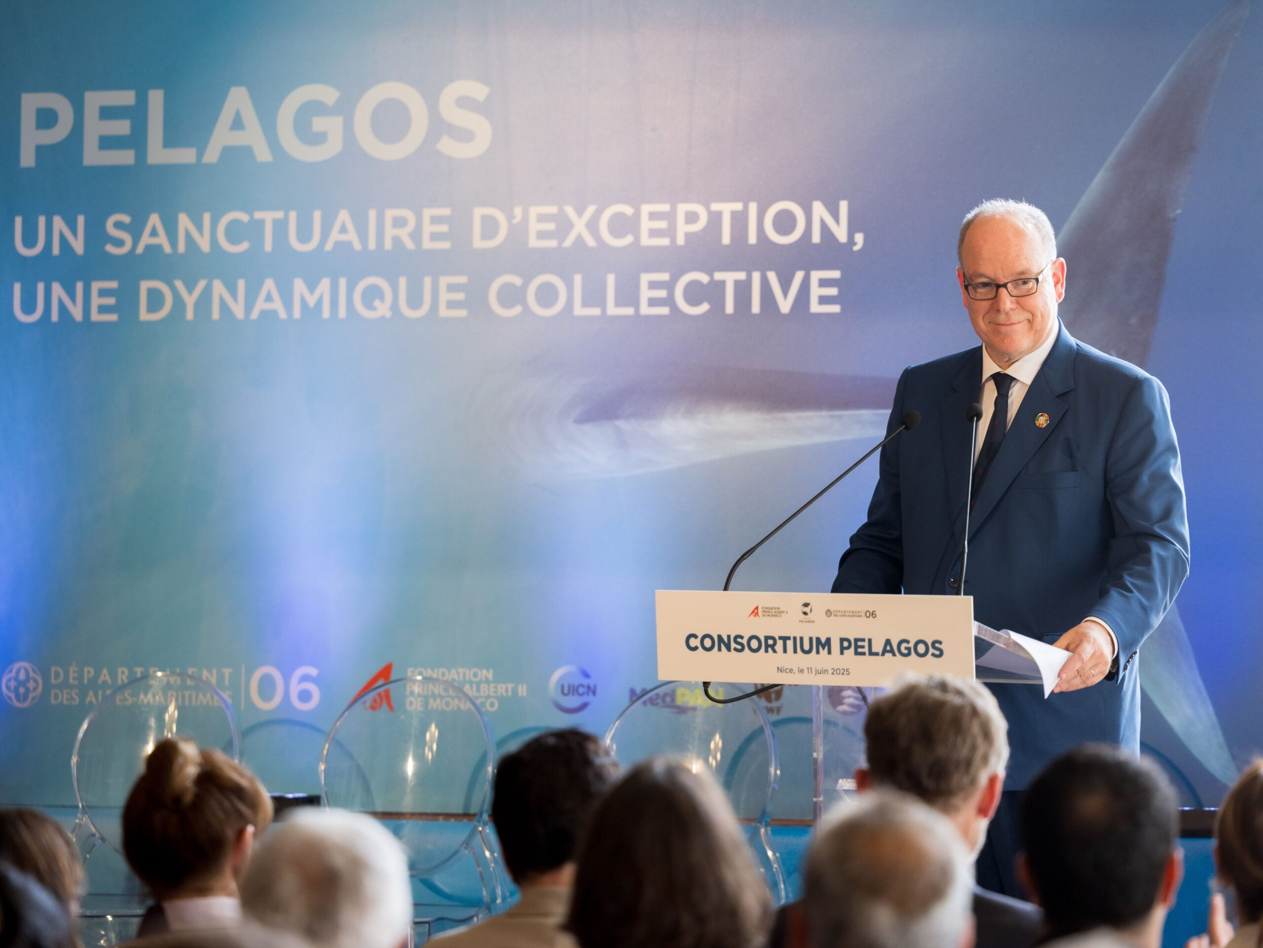 Balene e delfini hanno un alleato in più: nasce il Consorzio Pelagos. «Subito più misure per proteggere la fauna marina»