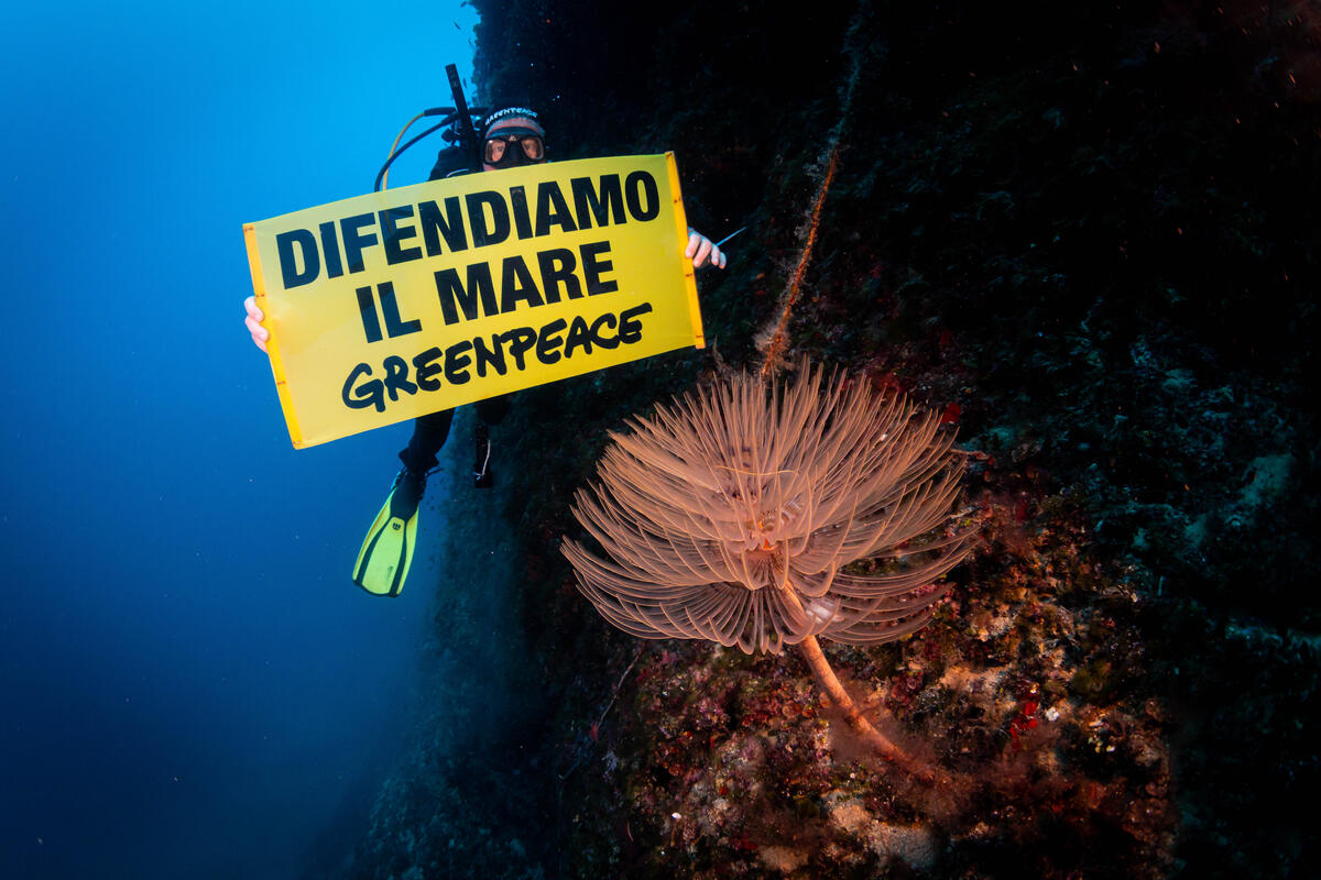 «Il mare in tasca»: la guida per tutelare il Mediterraneo
