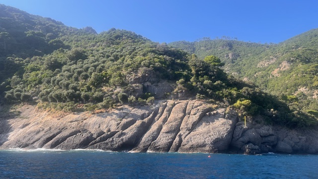 Così stenelle e tartarughe del Mediterraneo ci insegnano l’etica del mare