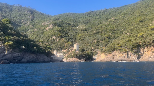 Così stenelle e tartarughe del Mediterraneo ci insegnano l’etica del mare