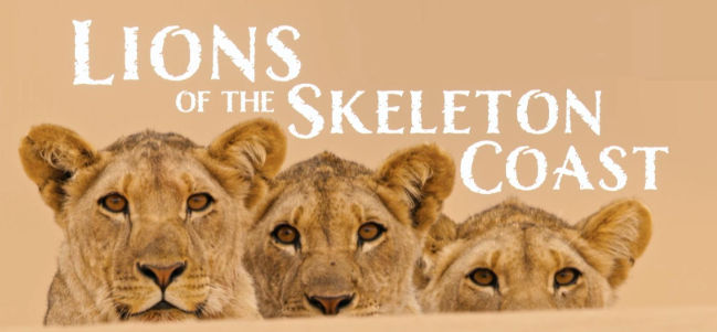 «Lions of the Skeleton Coast» vince lo Stambecco d'oro 2025. La storia delle leoncine orfane conquista tutti