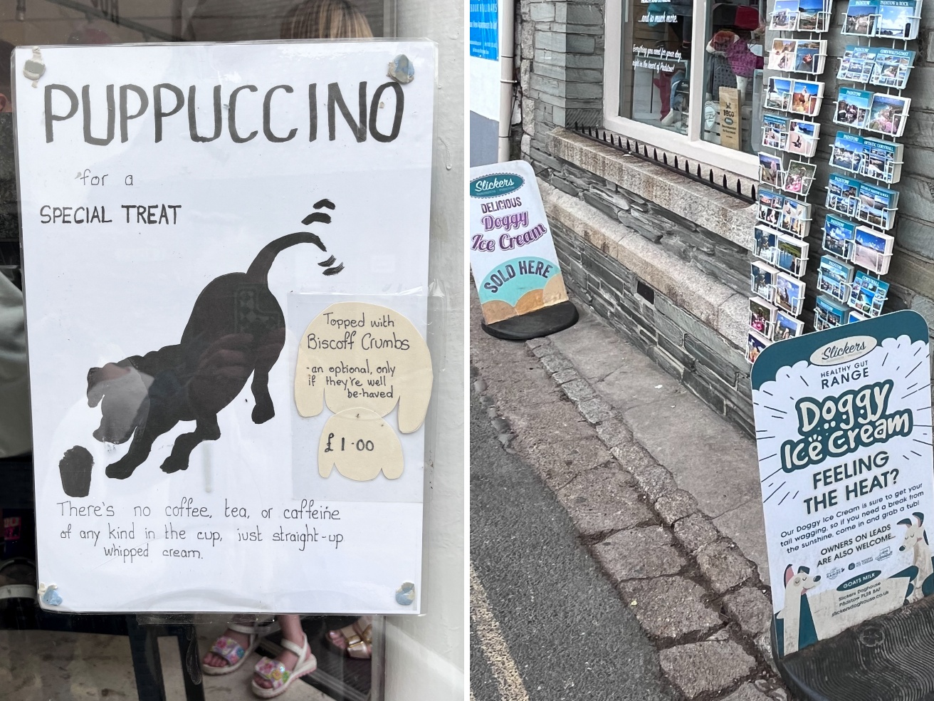 Sei un locale «dog friendly»? E allora dillo