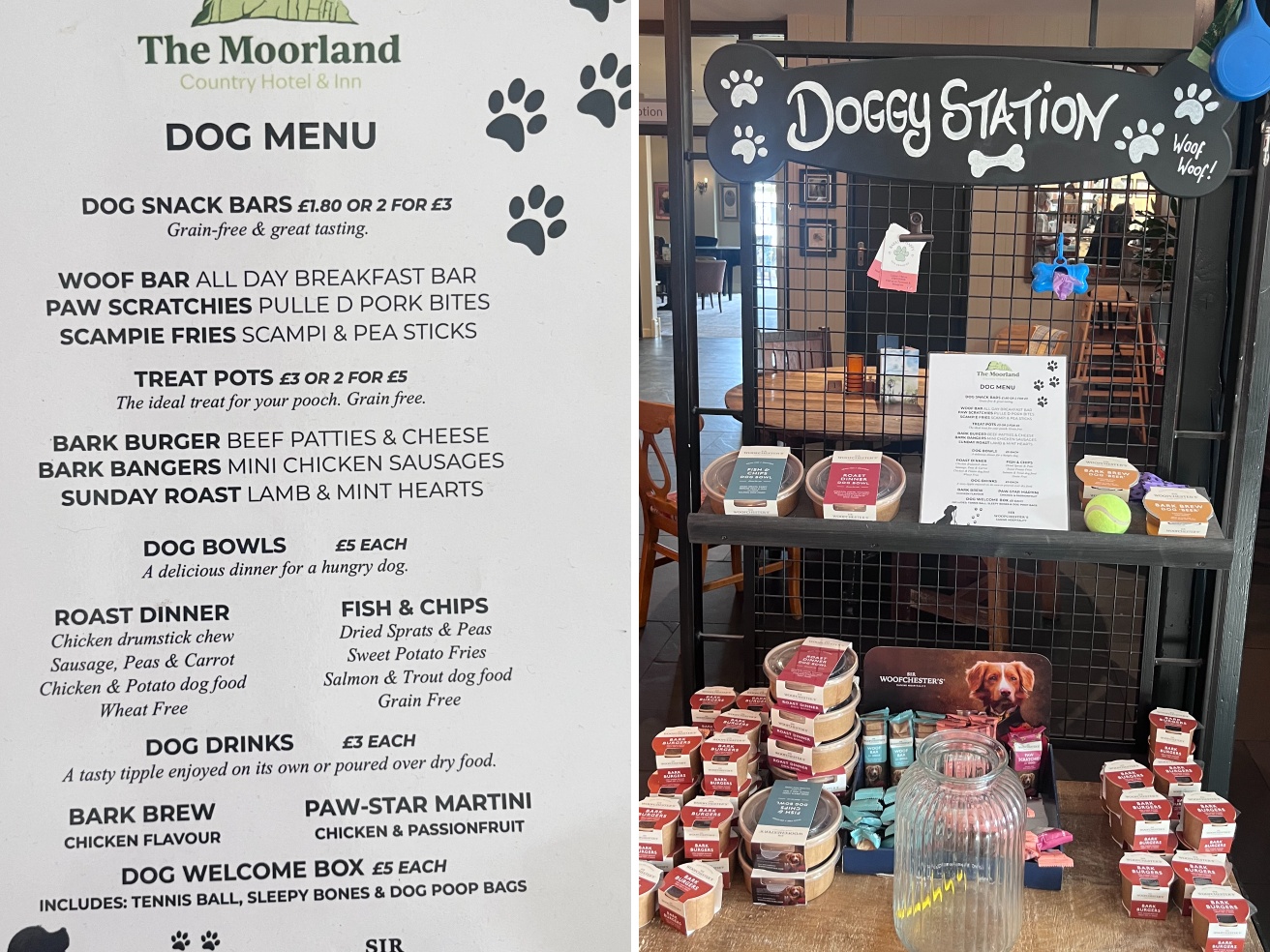 Sei un locale «dog friendly»? E allora dillo