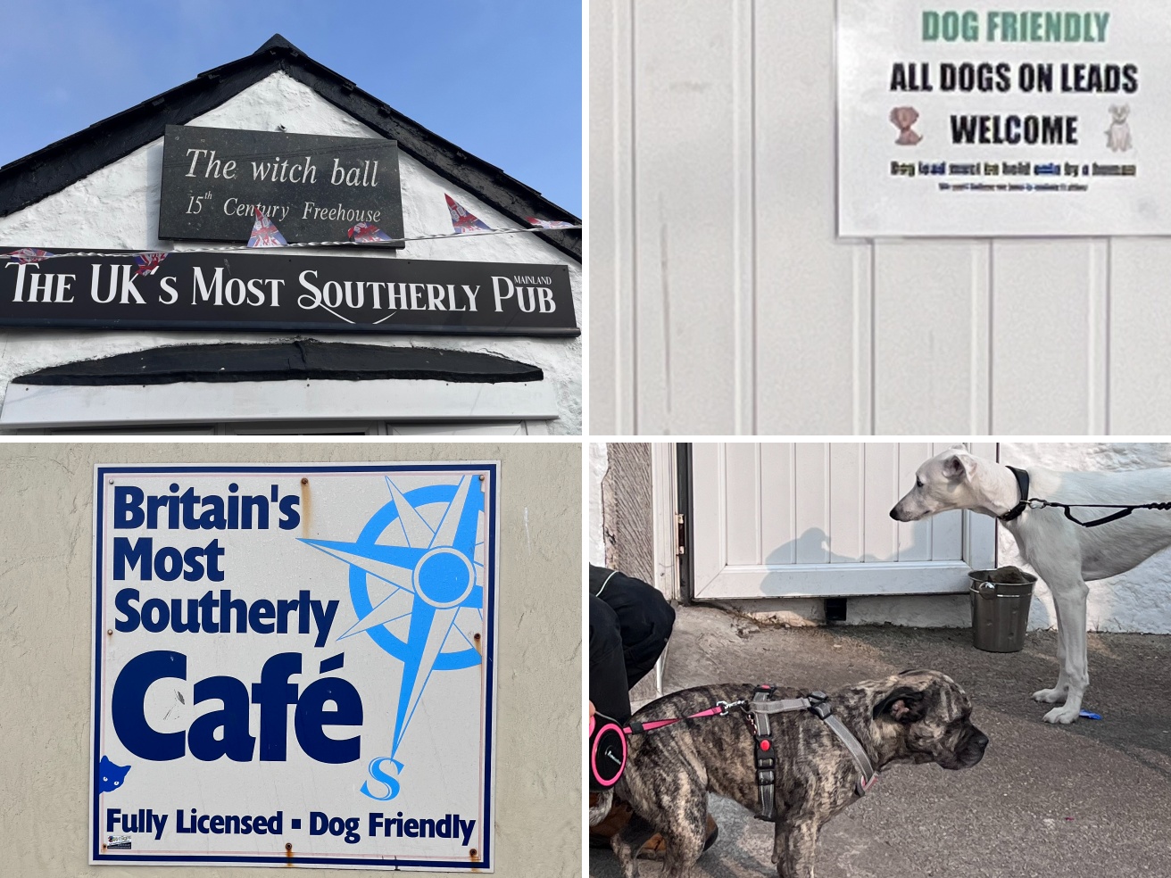 Sei un locale «dog friendly»? E allora dillo