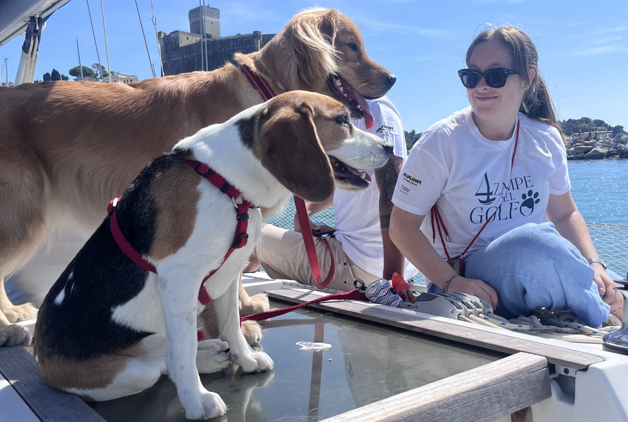 Marinai a quattro zampe, in barca a vela con il cane. La regata benefica al Golfo dei Poeti