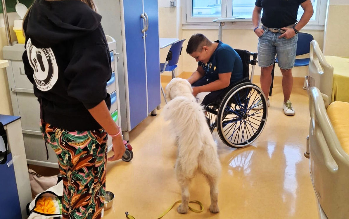 L'aiuto dei «cani terapisti» per i bambini affetti da atrofia muscolare spinale