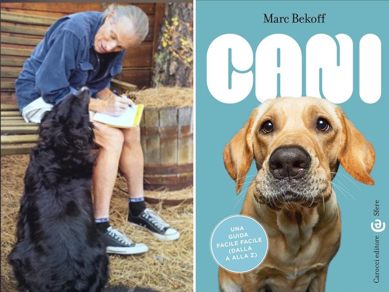 Perché i cani annusano le parti intime? E perché simulano la monta? Le risposte di Marc Bekoff