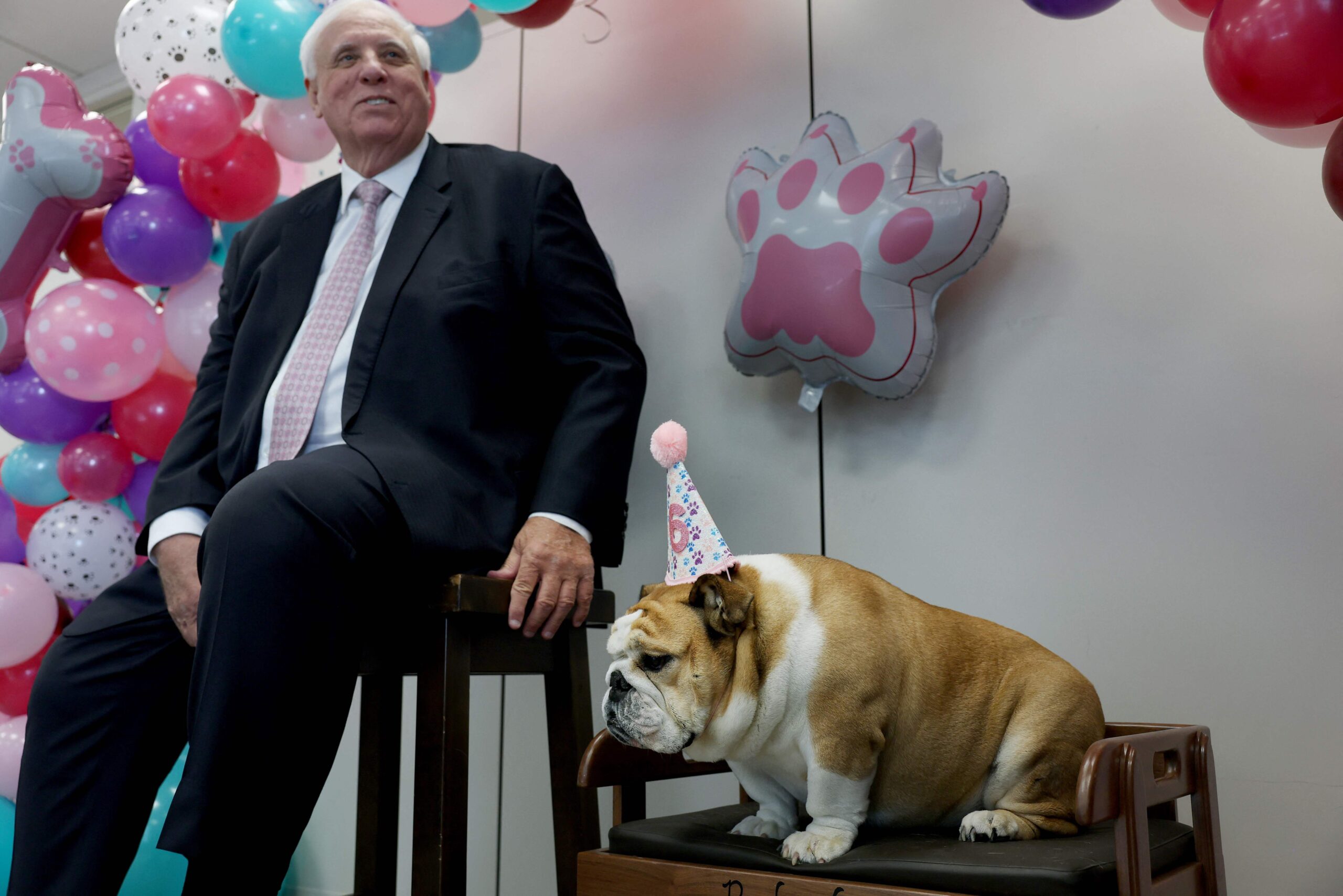 WASHINGTON, DC - OCTOBER 15: U.S. Sen. Jim Justice (R-WV) poses with Babydog, his english bulldog, in the senator's office on Capitol Hill on October 15, 2025 in Washington, DC. Babydog is celebrating her sixth birthday. Anna Moneymaker/Getty Im...