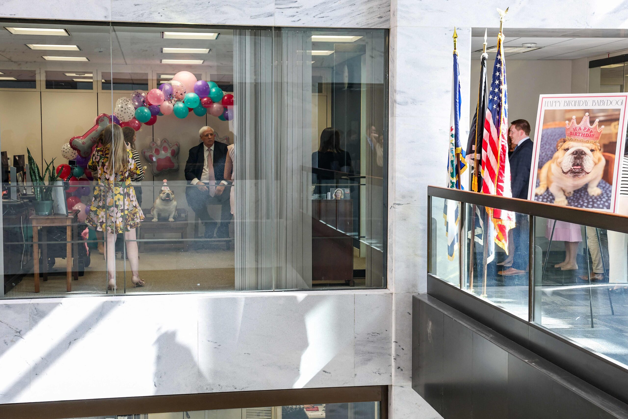 WASHINGTON, DC - OCTOBER 15: U.S. Sen. Jim Justice (R-WV) and his dog Babydog greet staffers as they celebrate Babydog's birthday on Capitol Hill on October 15, 2025 in Washington, DC. Babydog is celebrating her sixth birthday. Anna Moneymaker/G...