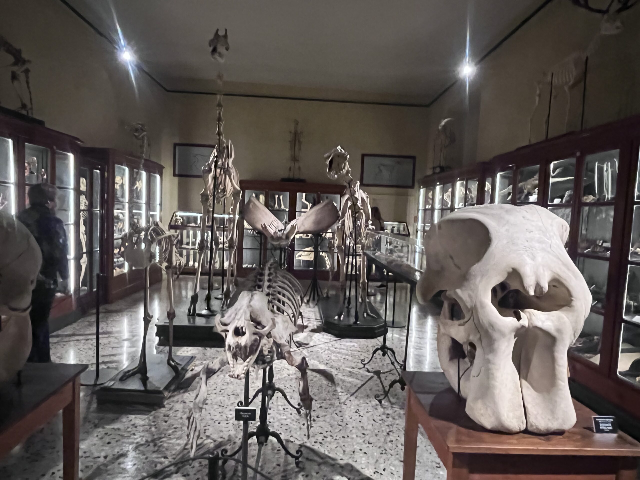 Al Must di Parma il viaggio nella storia della biodiversità. Una banca dati della genetica della natura