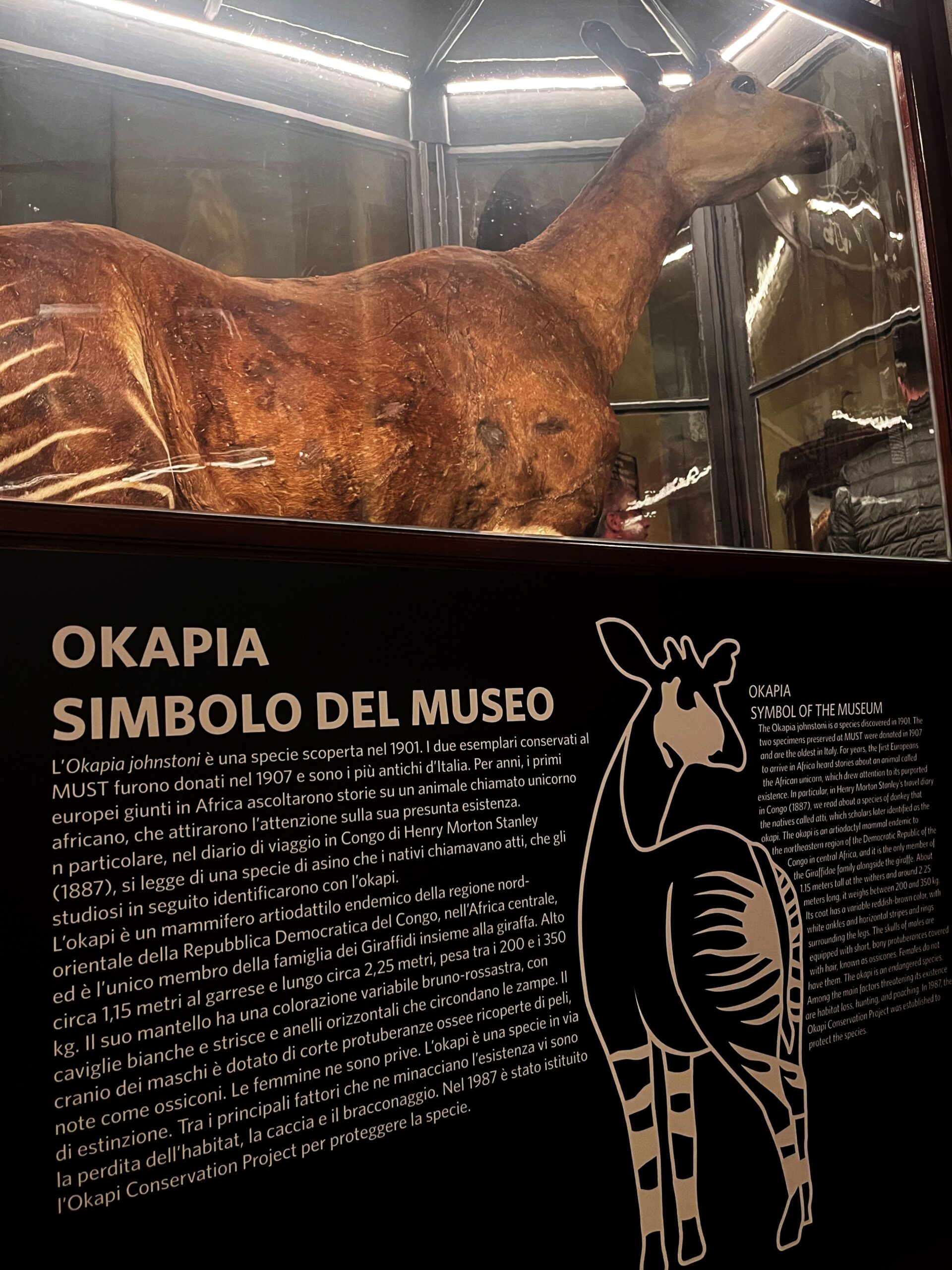 Al Must di Parma il viaggio nella storia della biodiversità. Una banca dati della genetica della natura