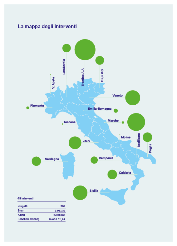 In Italia messi a dimora oltre 3 milioni di alberi nel 2024: + 31% in un anno