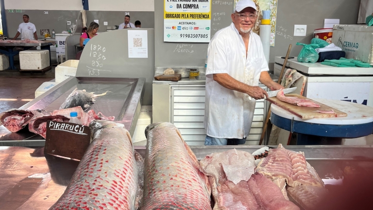 A Belém per la COP30, tra pirarucu e promesse da mantenere