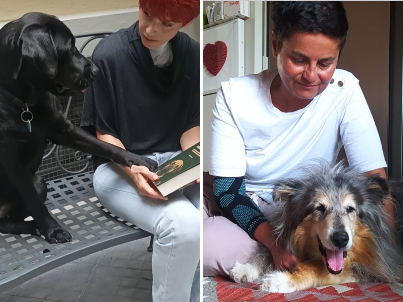 «Io, Cane-di-casa, vi spiego perché non sono per tutti. Soprattutto a Milano»