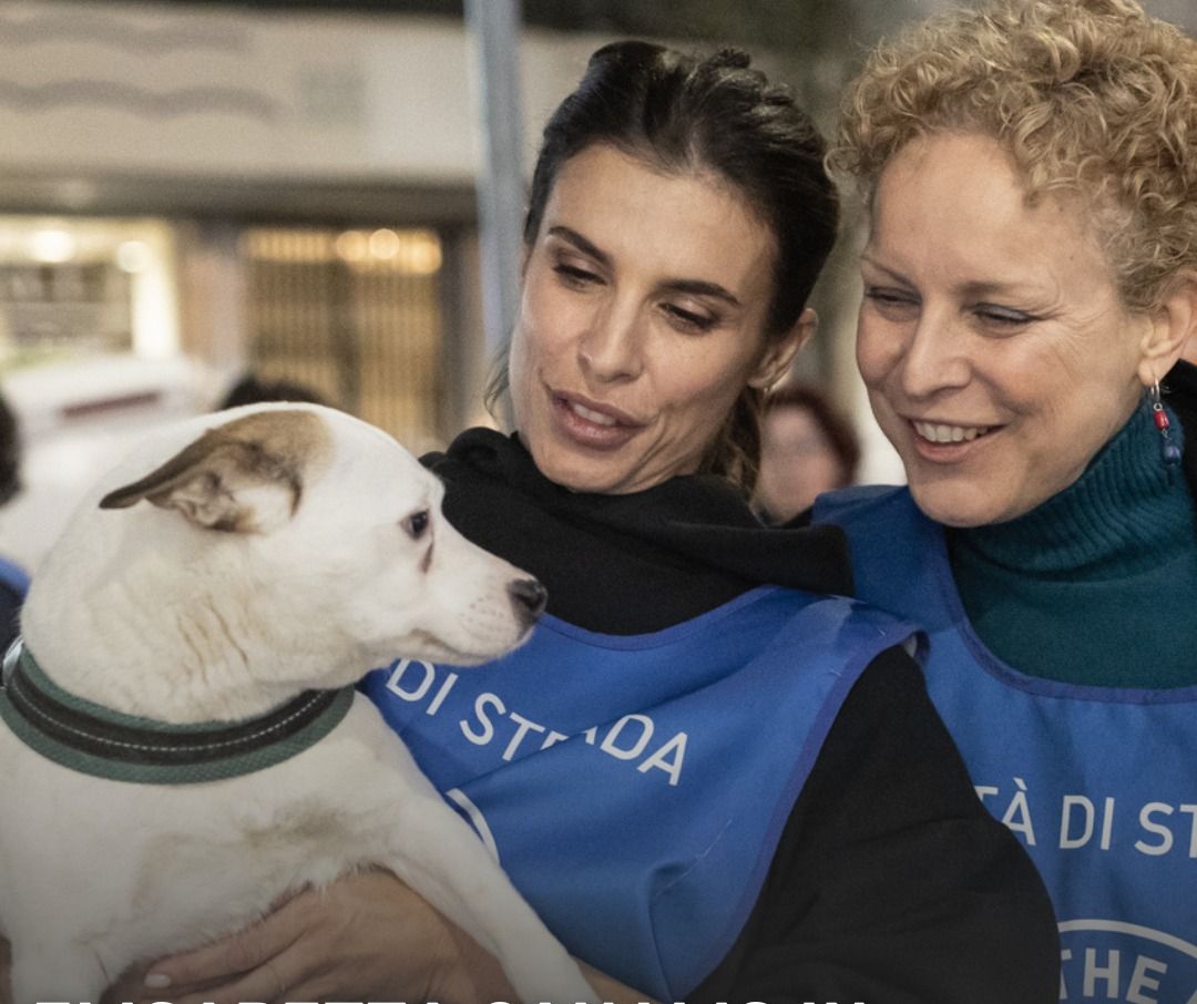 Save the dogs, vent'anni dalla parte dei cani (e delle persone). Con l'arrivo del freddo il nuovo progetto per i senza tetto