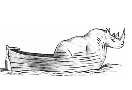 Il felicottero, il pettirozzo e l'aquila leale: così 60 animali anomali ci fanno riflettere (con ironia) sulla classificazione scientifica