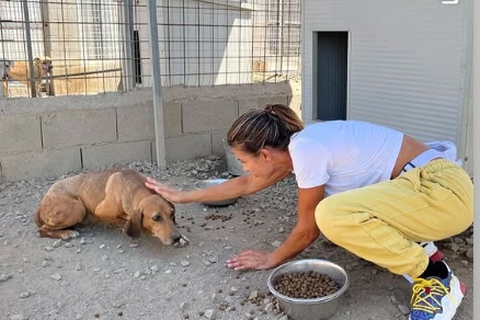 Elisabetta Canalis: «Che gioia adottare un cane in canile: gli salvi la vita e ne ricavi amore infinito»