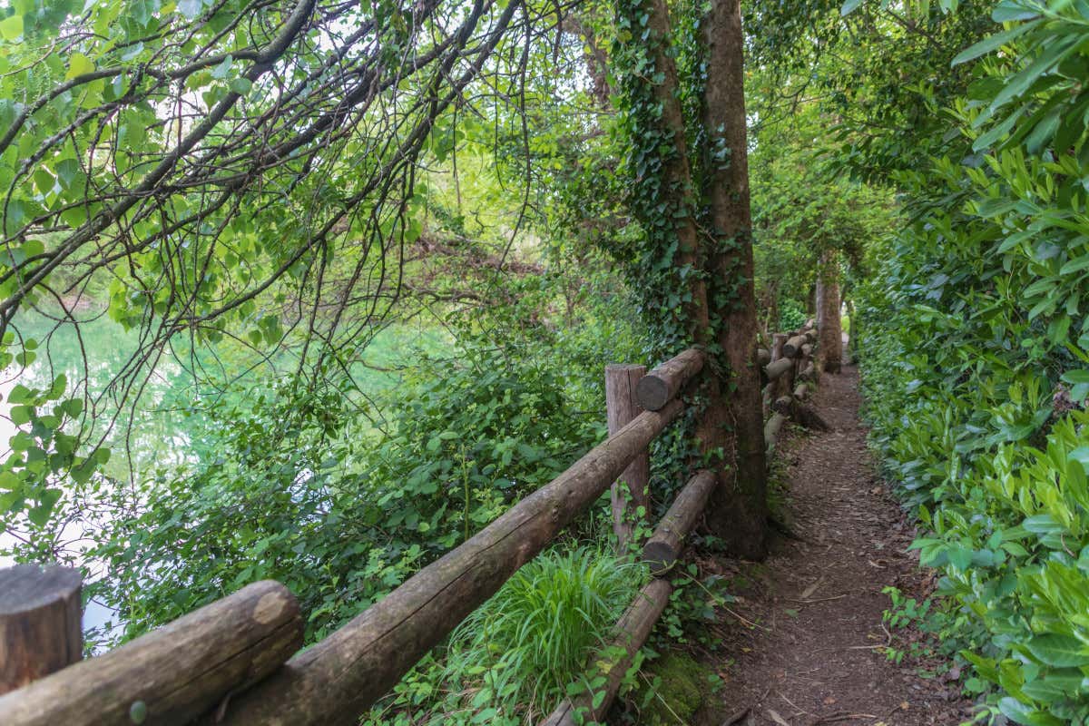 In Lombardia 30 milioni di euro per difendere foreste e boschi