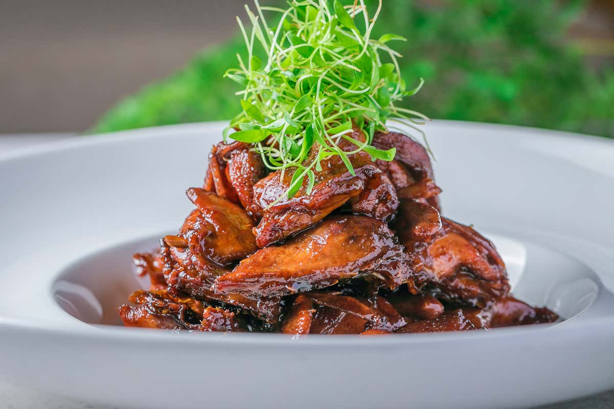 Tutto sulla carne di piccione: miti, proprietà e realtà nutrizionale
