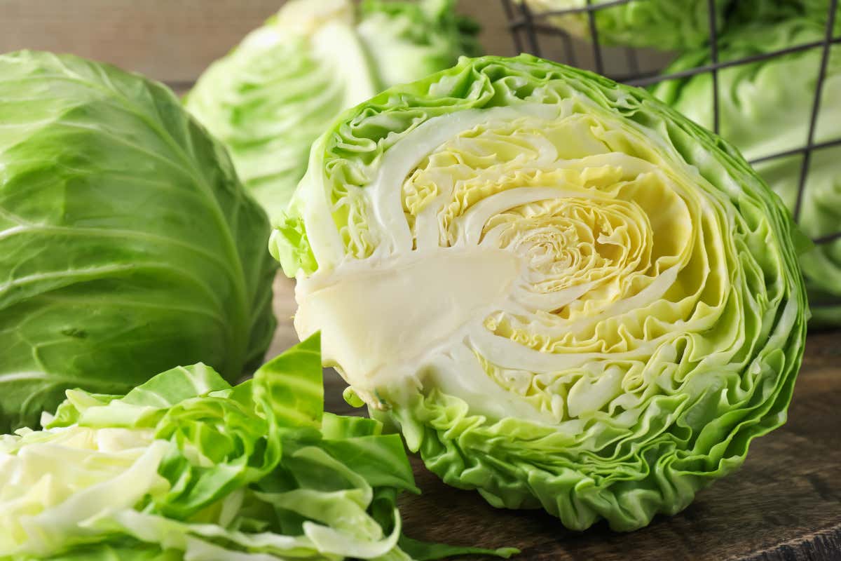 Vitamine, fibre e minerali: la verza è uno degli ortaggi più completi dell’inverno