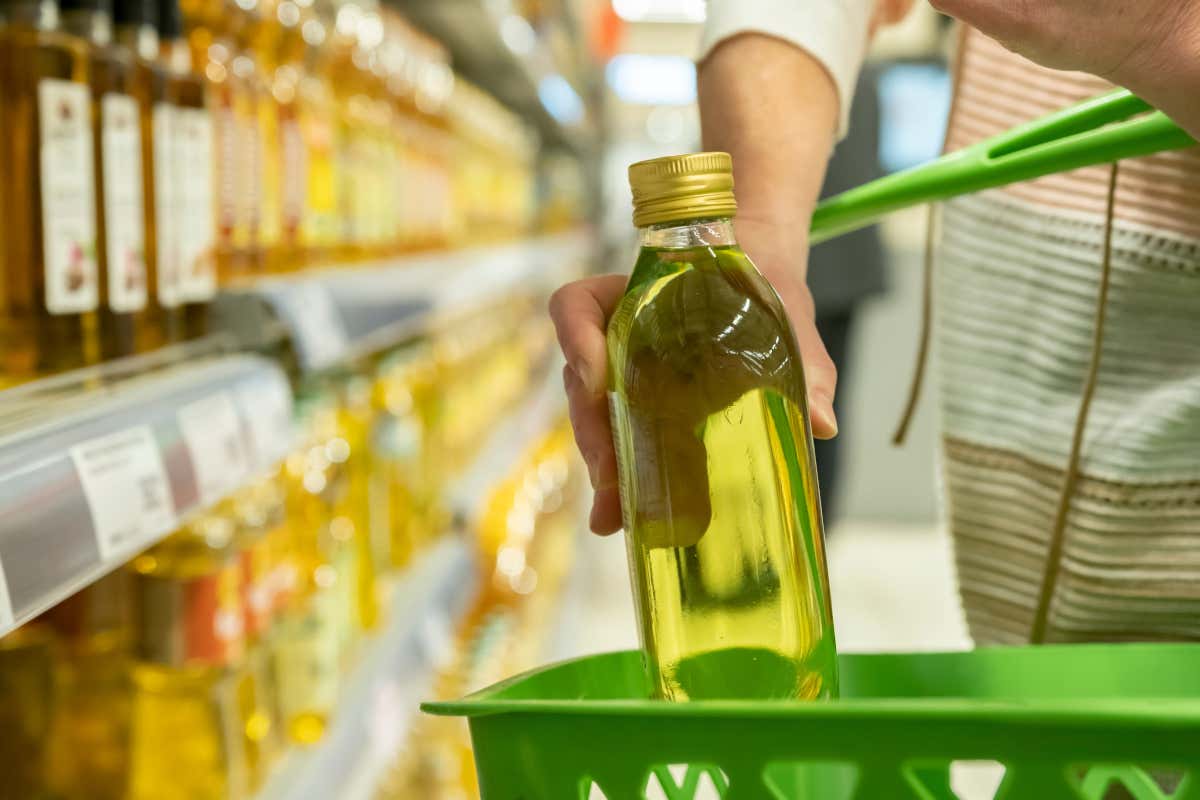 Evo sotto attacco: arrivati in Italia oltre 500 milioni di chili di olio straniero Evo sotto attacco: arrivati in Italia oltre 500 milioni di chili di olio straniero