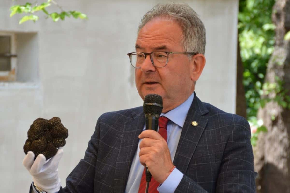 Intervista a Giuseppe Cristini: nel 2026 il tartufo si racconta in guanti bianchi