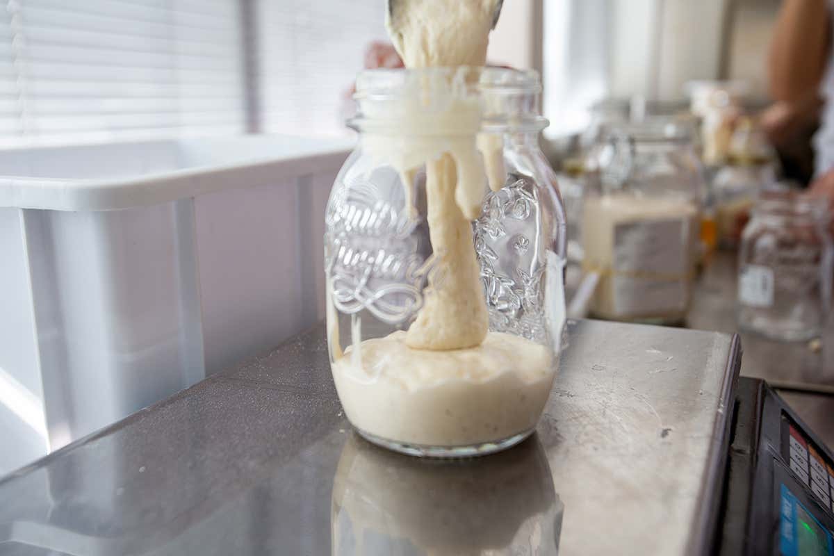 Lievito di birra e madre: le differenze e la gestione dei tempi di maturazione in pizzeria