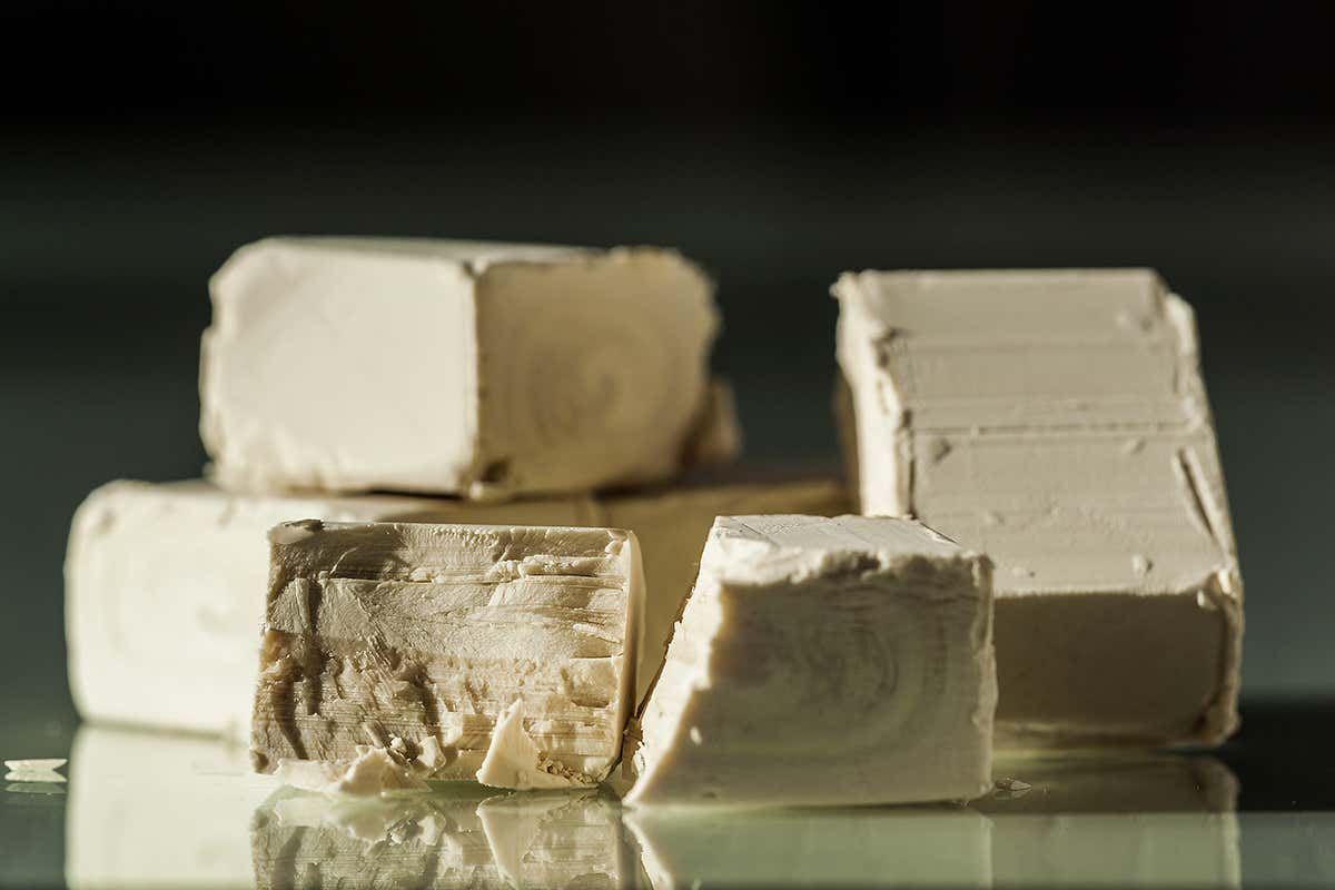 Lievito di birra e madre: le differenze e la gestione dei tempi di maturazione in pizzeria