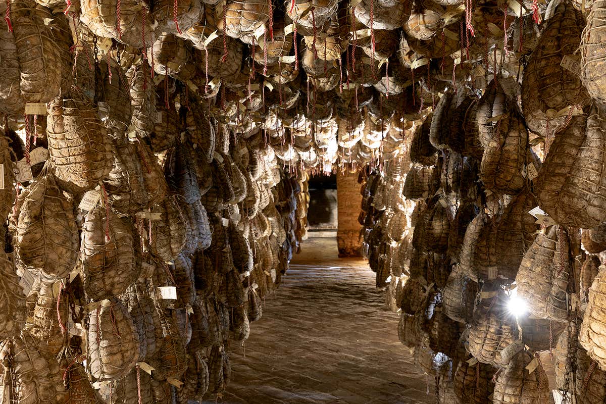 Spigaroli, la famiglia che ha guidato la nascita della Dop del Culatello di Zibello