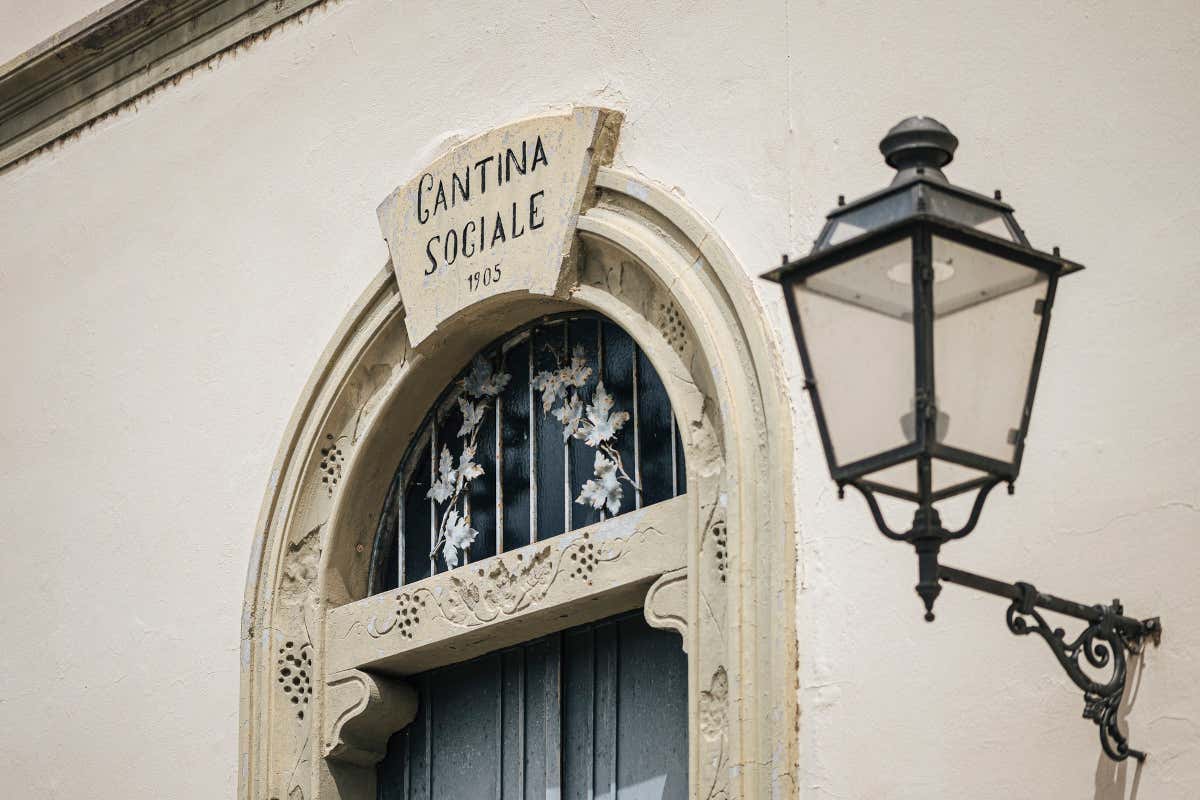 Terre d’Oltrepò convoca i soci: vendemmia, pagamenti e futuro ancora da chiarire