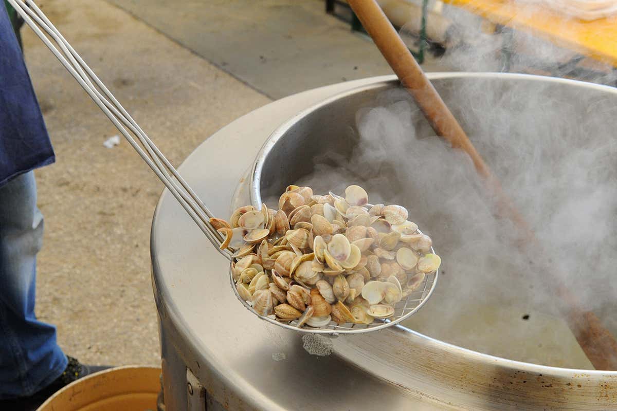Festa delle Cape 2026: a Lignano Sabbiadoro tornano le cappelunghe dell’Alto Adriatico (foto: AP AL MARE) Festa delle Cape 2026: a Lignano Sabbiadoro tornano le cappelunghe dell’Alto Adriatico