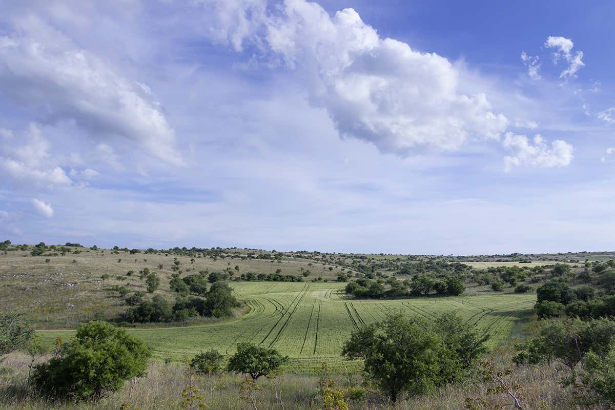 Parco Nazionale dell'Alta Murgia