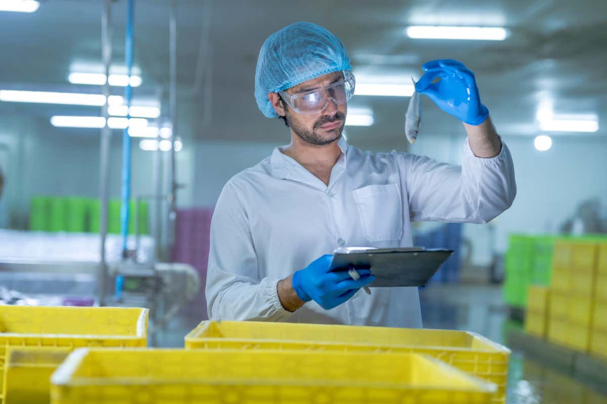 Frodi ittiche: fino al 30% del pesce potrebbe non essere quello dichiarato Pesca e acquacoltura: fino al 30% del pesce potrebbe essere non conforme