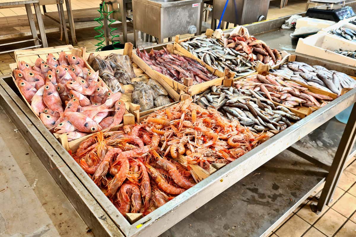 Mercato ittico: calo dei prezzi del pesce stagionale tra il 12 e il 17%