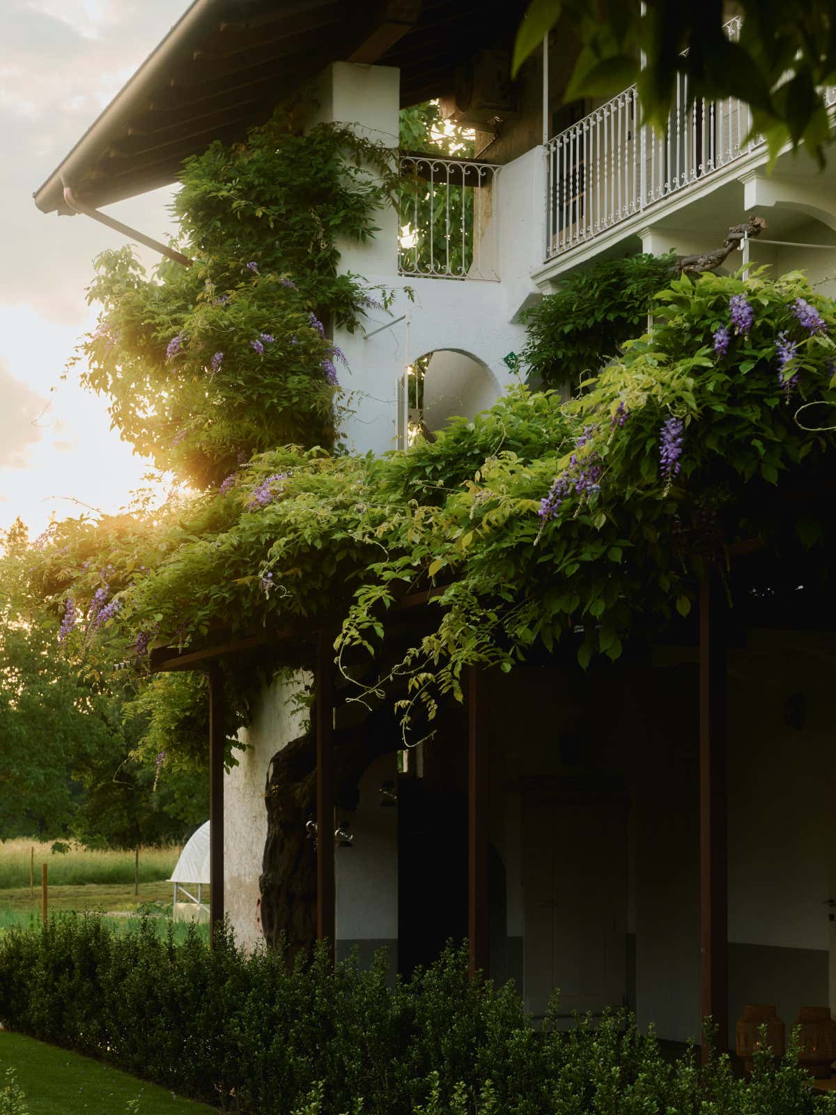 L'agriturismo Capuccina, immerso nel verde dei colli novaresi (Foto: Savour)