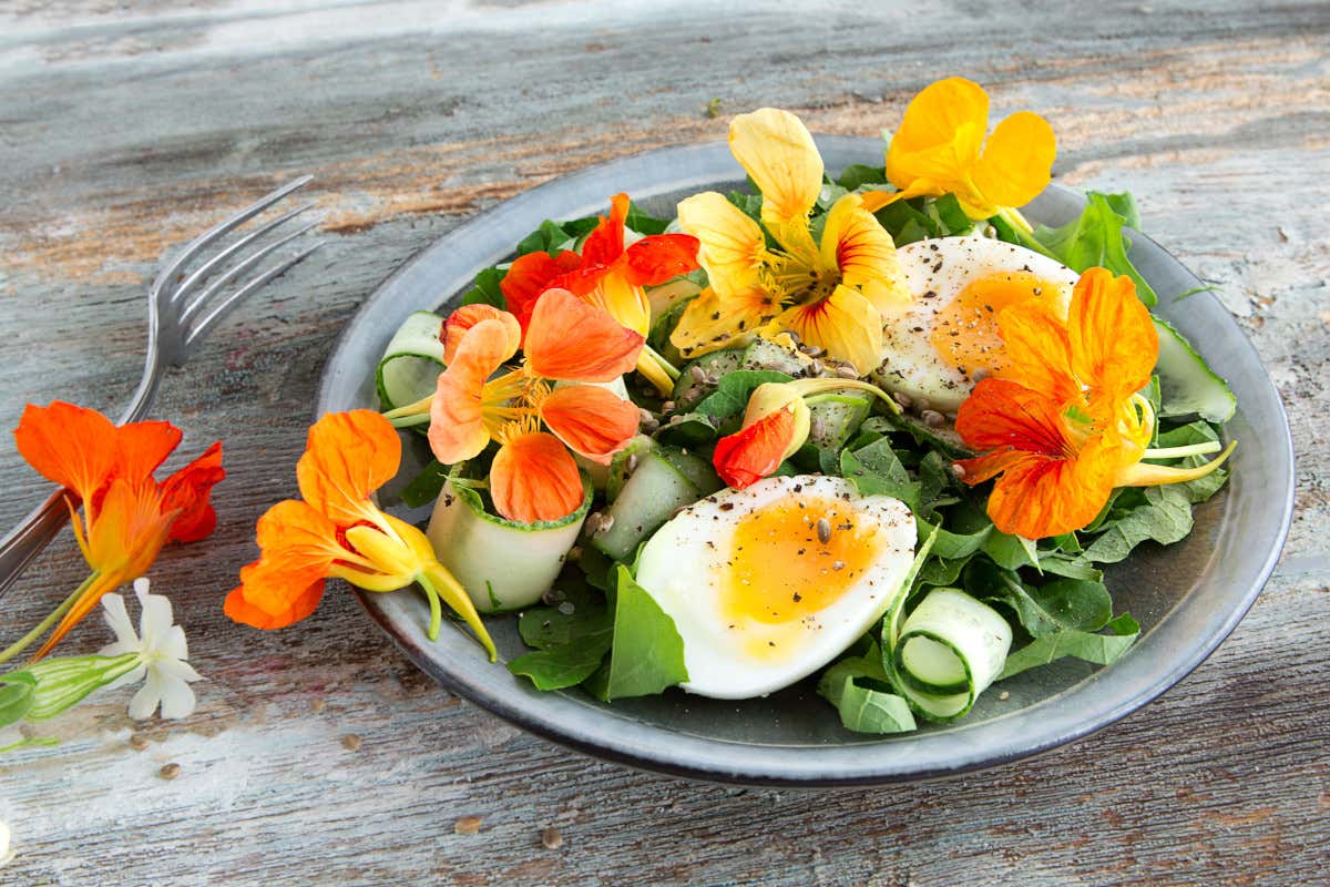 Fiori eduli, perché fanno bene alla salute e stanno conquistando sempre più persone