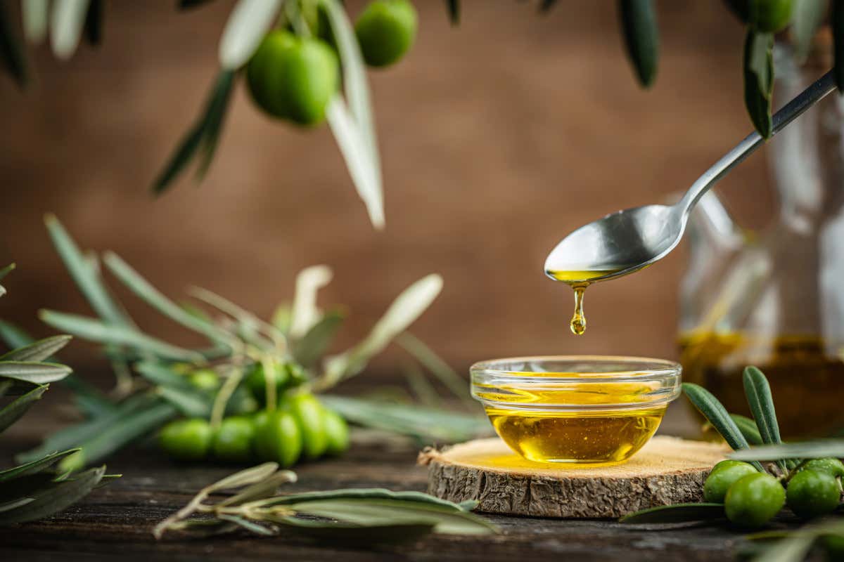 Meno ulivi meno produzione: l’Italia dell’olio perde terreno nel mondo