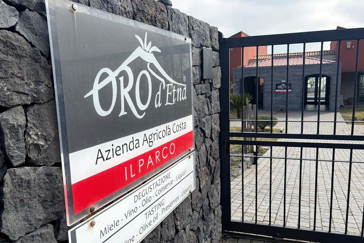 Oro d’Etna presenta i nuovi spumanti 2024: un orange e tre metodo classico Oro d’Etna presenta i nuovi spumanti 2024: un orange e tre metodo classico