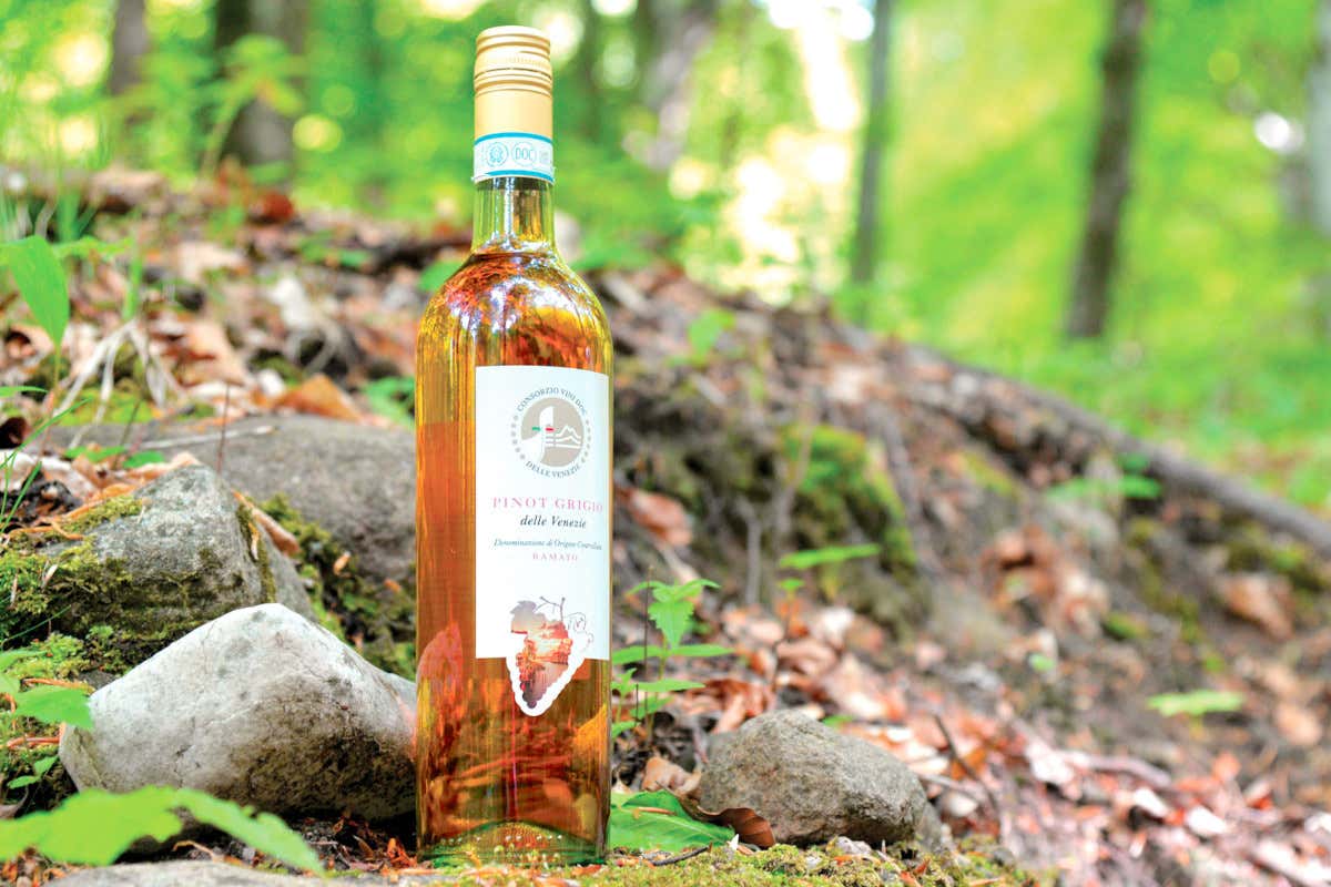 Il Pinot Grigio Delle Venezie corre con il Giro: sarà Official Wine della Corsa Rosa 2026 Il Pinot Grigio Delle Venezie corre con il Giro: sarà Official Wine della Corsa Rosa 2026