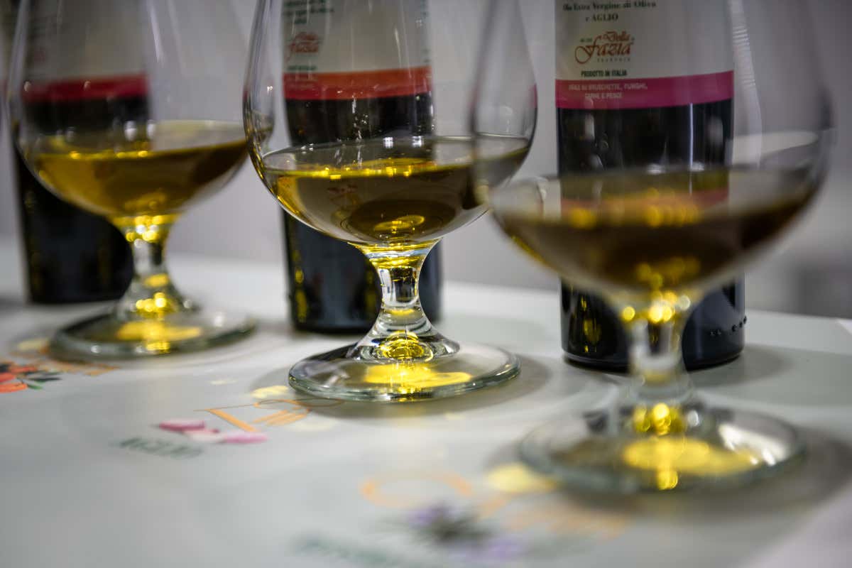 Sol d’Oro 2026: la Puglia guida il medagliere del concorso internazionale dell’olio evo