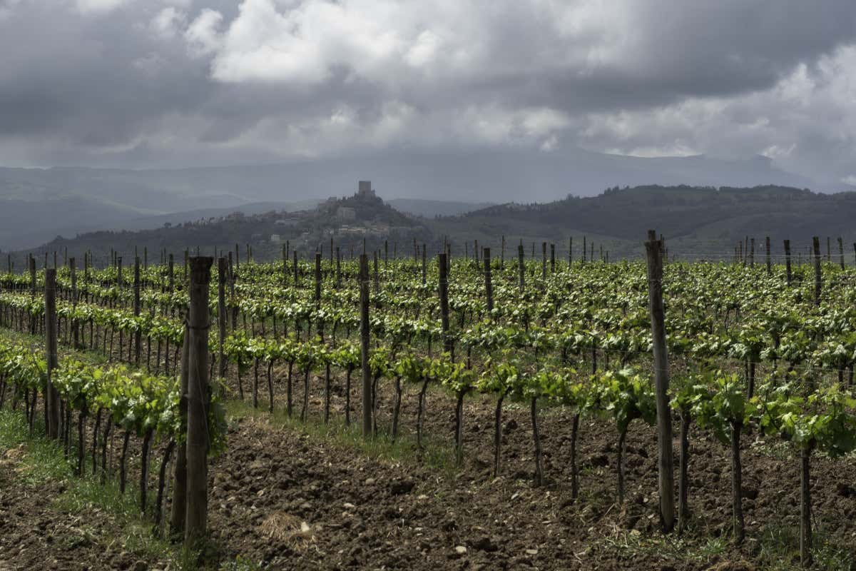 Toscana Igt approvato il nuovo disciplinare: arriva il vino spumante