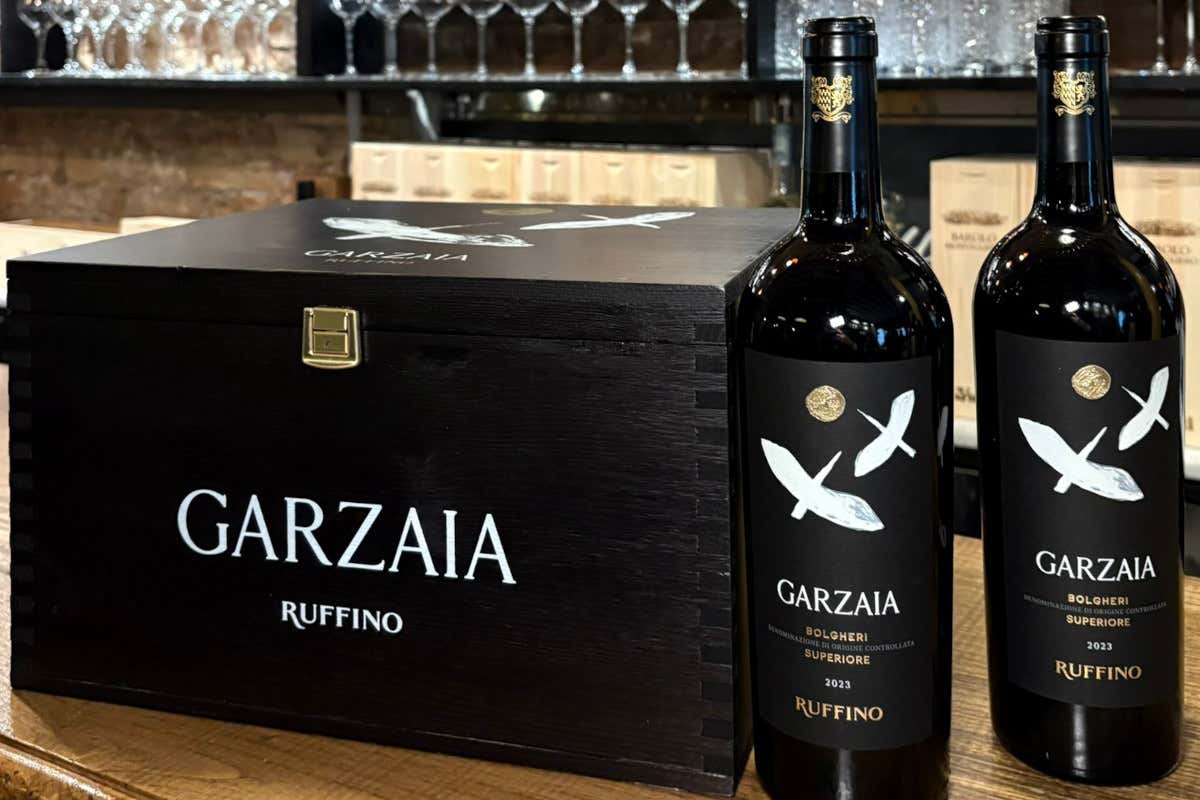 Garzaia, il nuovo Bolgheri Superiore di Ruffino