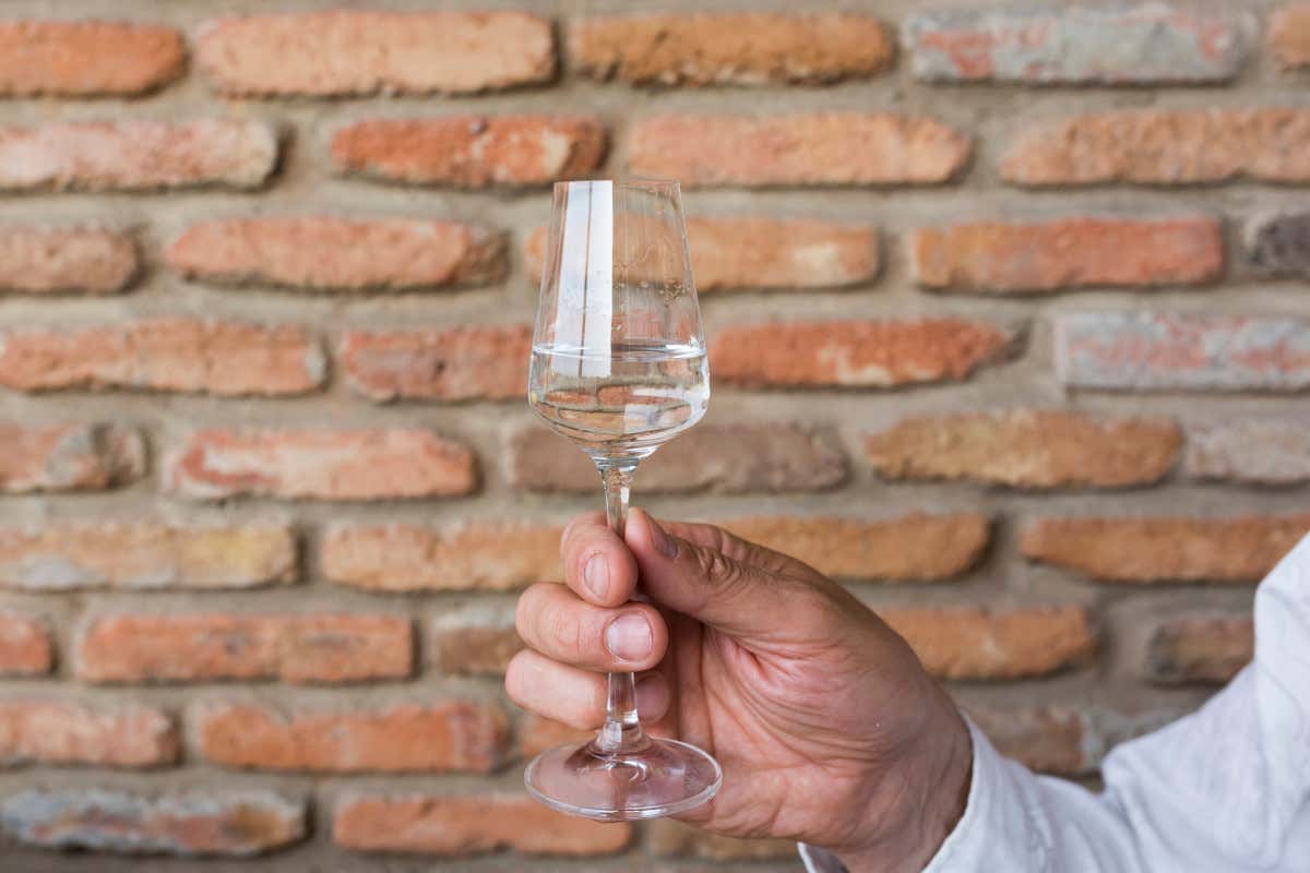 Grappa, a Pasqua le vendite crescono del 16%: dal dopopasto a nuovi abbinamenti