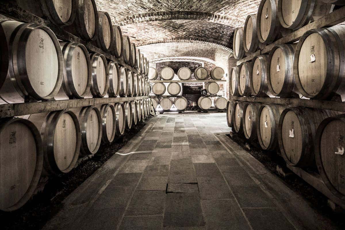 Partesa amplia il portfolio vini con cinque nuove cantine italiane