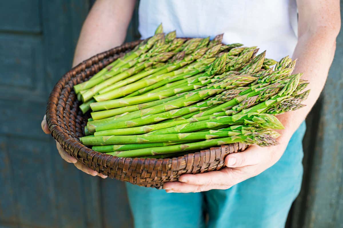 Fibre, vitamine e poche calorie: perché scegliere gli asparagi