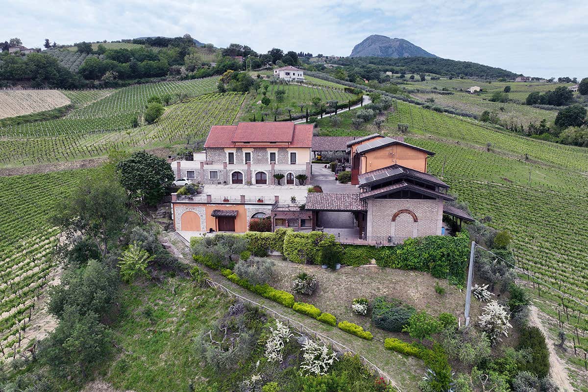 Fontanavecchia combina vino di qualità, tradizione e gastronomia del Sannio