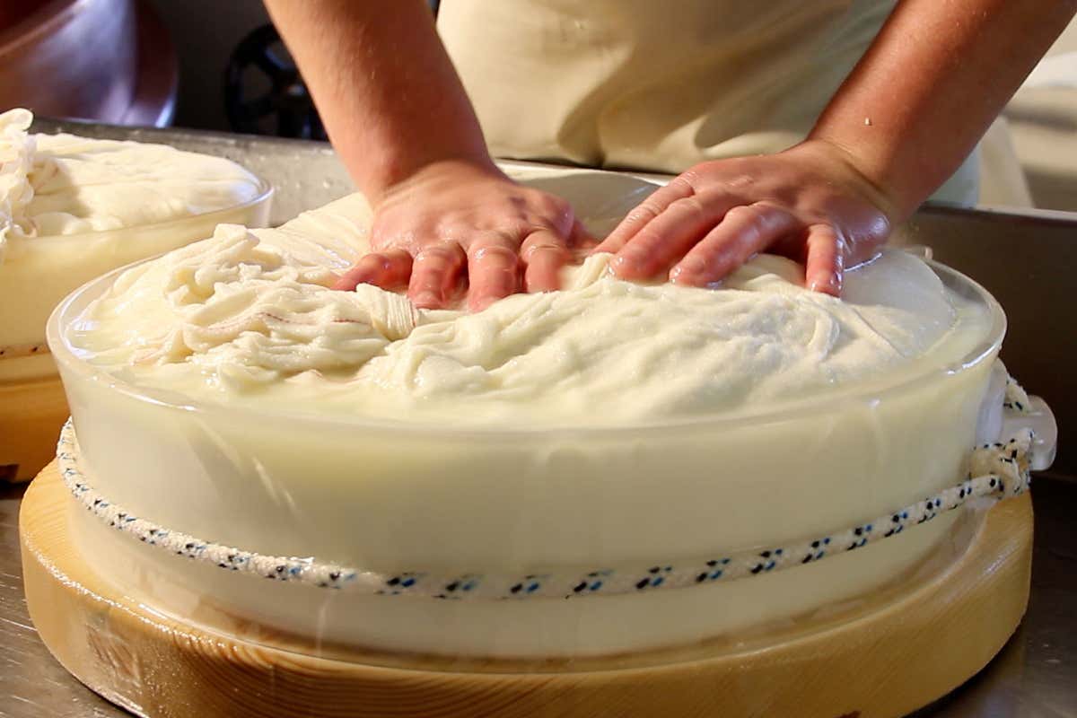 Fontina Dop, aggiornato il disciplinare: più sostenibilità per la filiera alpina