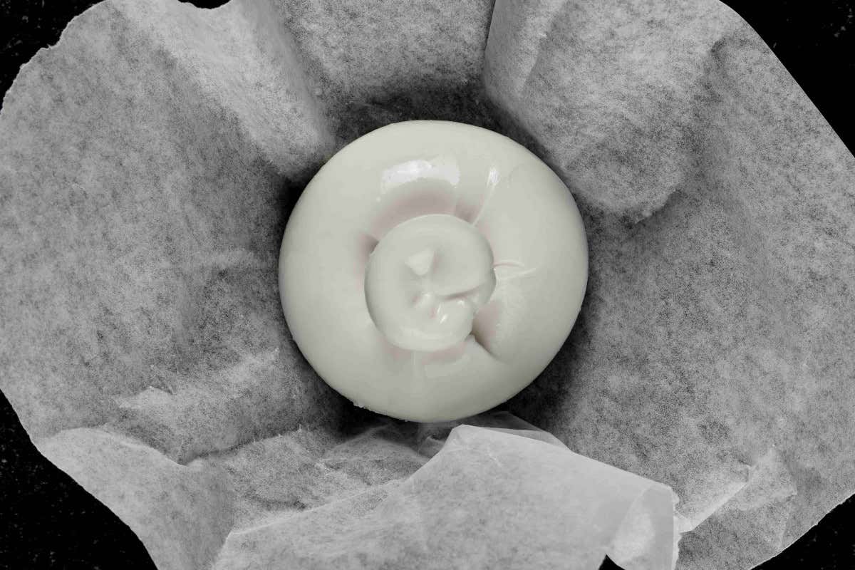 La burrata di Andria di Gioiella