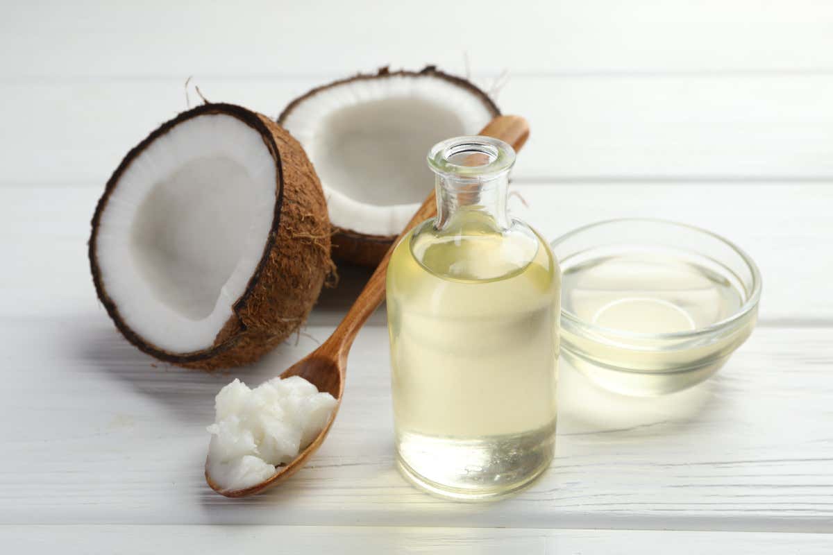 L’olio di cocco fa bene o fa male alla salute? Ecco cosa bisogna sapere L’olio di cocco fa bene o fa male alla salute? Ecco cosa bisogna sapere
