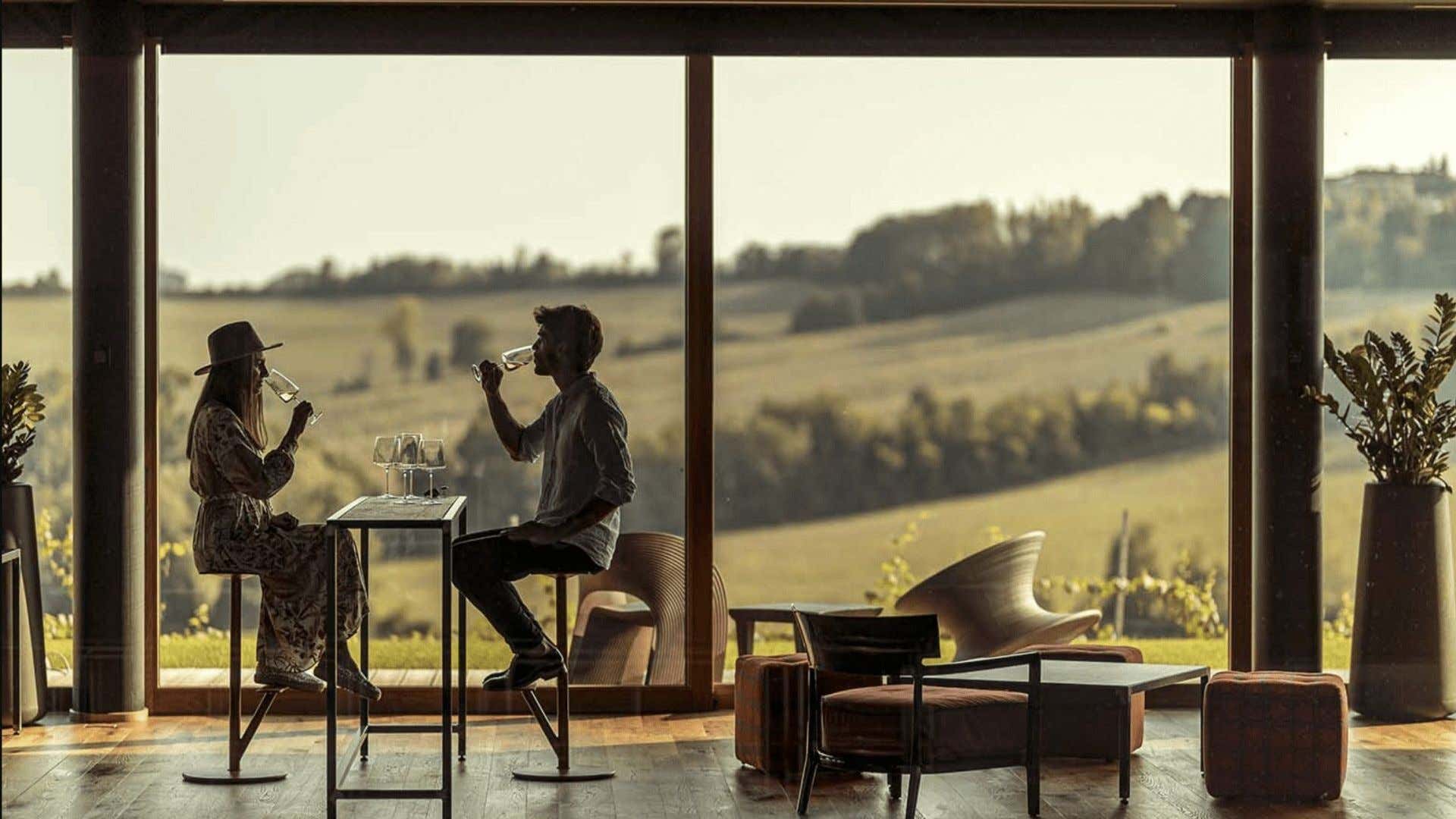 Degustazione vini Monferrato: cosa aspettarsi da un’esperienza con calice in mano